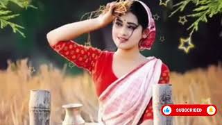 Roider Moddhe রইদের মধ্যে হাল বাও তুমিBangla Song [upl. by Enilreug]