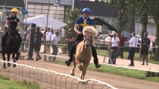 Þorvaldur Árnason P1 WC Icelandic Horses IslandpferdeWM VM Islandshästar 2015 [upl. by Beedon]