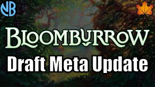 BLOOMBURROW DRAFT META UPDATE Best Decks Underrated Cards and MORE [upl. by Aronaele96]