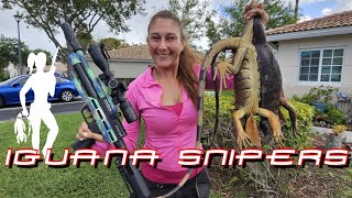 Iguana Hunting at South Florida Homes with Iguana Snipers [upl. by Hayimas]