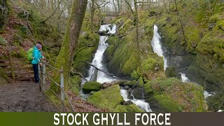 Stock Ghyll Force  Waterfall walk Ambleside in the Lake District [upl. by Aeriell]