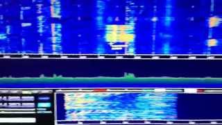 SDRplay RSP as a panadapter synchronised with Kenwood TS590 [upl. by Sivie]