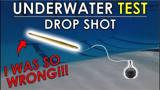 Drop Shot Length Weight and Bait Testing  Underwater Bass Fishing Rig Test [upl. by Samuele]