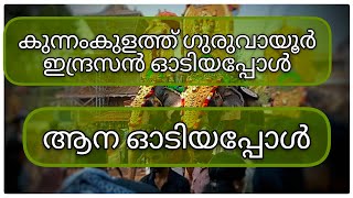 കുന്നംകുളത്ത് ഗുരുവായൂർഇന്ദ്രസൻ ഓടിയപ്പോൾviralvideo viral pooram2024 guruvayoor kunnamkulam [upl. by Yule]