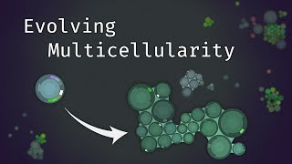 Simulating an Evolving Microcosmos  The Path to Multicellularity [upl. by Eniawed386]