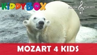 Mozart Bach Chopin  Klassik für Kinder  Ein kleiner Eisbär KIDDYBOXTV [upl. by Assenahs]