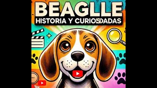 Beagles Historia Curiosidades y Consejos para Cuidar a esta Fascinante Raza 🐶 [upl. by Aret]