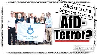 Von Verhaftungen der AfD und SPDGrünen Von phantasiertem und von realem Terror [upl. by Nnelg]