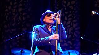 Van Morrison  Utrecht  WILD NIGHT  TivoliVredenburg  1 may 2024 [upl. by Aeki]