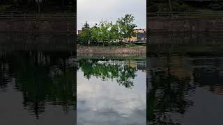 Welland Canal Paddle Boarding wellandcanal paddleboard shorts [upl. by Farly]