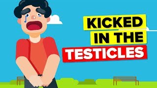 Why Does Getting Kicked in the Testicles Hurt So Badly [upl. by Stedt]