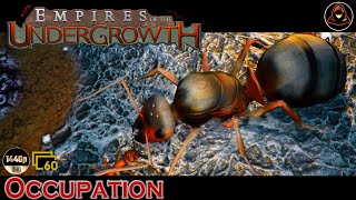 Empires of the Undergrowth  Occupation Extra Level [upl. by Julina422]