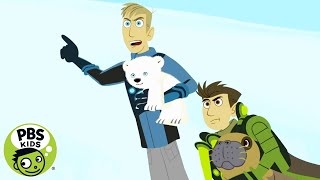 WILD KRATTS  Mommy Rescue  PBS KIDS [upl. by Yralih853]