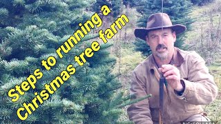 Running a Christmas Tree Farm A brief overview [upl. by Sabelle]