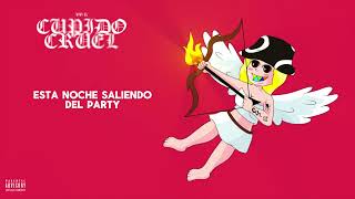 DiDi R  Cupido Cruel Lyric Video [upl. by Berlinda138]