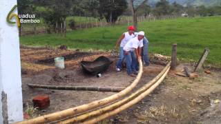 Bending Dry Bamboo Poles [upl. by Cirillo]