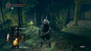 Dark Souls 004  Optional Leveln und Farmen German Deutsch Lets Play [upl. by Attenol452]