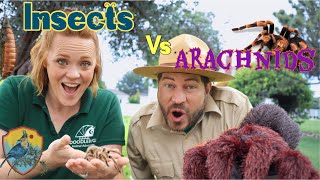 Insects And Arachnids for Kids  Educational Videos for Kids [upl. by Panchito]