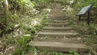 4K Scaling Of Hallasan Mountain Along The Eorimok Hiking Trail JejuDo South Korea Part X [upl. by Yale]