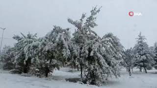 Bitlis’te dağlar gelinliğini giydi [upl. by Eleazar]