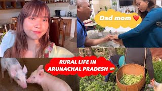 VILLAGE LIFE IN FARM HOUSE ARUNACHAL PRADESH FAMILY VLOGS INDIA TRIBAL LIFESTYLE [upl. by Katzen422]