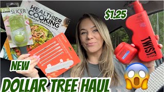 DOLLAR TREE HAUL  NEW  CAR HAUL  AMAZING FINDS [upl. by Kraska]