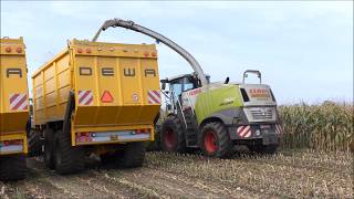 Wellens mais hakselen 2017 1  Claas Jaguar 960 [upl. by Fiann]