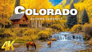 Colorado 4K HDR  Majestic 4K Aerial Footage of Colorado’s Fall Colors Scenic Relaxation Films [upl. by Thunell]