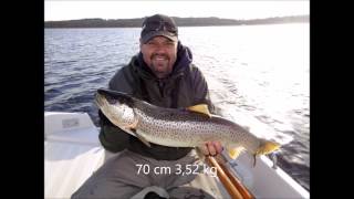 Kastefiskeri fra båd i Mariager Fjord  352 kg havørred [upl. by Aliza]