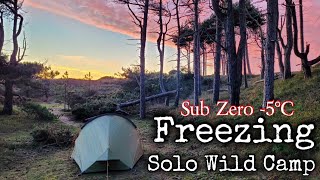 5°C Freezing Solo Wild camp  Winter Pine Forest  Vango Cairngorm 200 budget tent [upl. by Libby]