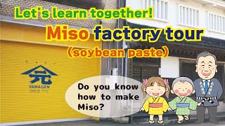 【Factory tour】How do you make miso [upl. by Marlo]