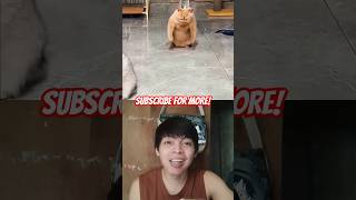 Incredible Cat ☠️  Troll Face  Mukbang Reaction [upl. by Griggs]