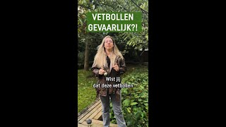 Dit is wat je moet weten over vetbollen [upl. by Lednahs]