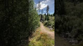 Trysil playboicarti mtb [upl. by Noiztneb361]