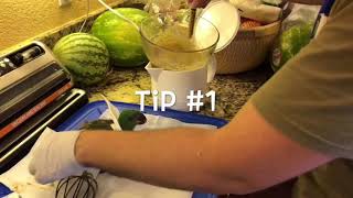 Hand Feeding Baby Eclectus Parrot [upl. by Ave]