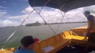 Swan Boat Hire Maroochydore Sunshine Coast 3 [upl. by Eicart943]