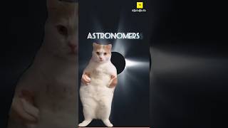 Astronomers vs Astrologers On a Solar Eclipse Day  cat dog comparison andhbhakt blindfaith [upl. by Cofsky439]