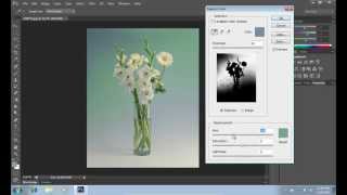 How to Use Color Replacement Tool in Photoshop CS6 [upl. by Draillih]