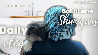 Ep6 Easy AtHome Dog Bath Affordable products amp Tips  Velcro Dog [upl. by Elroy701]