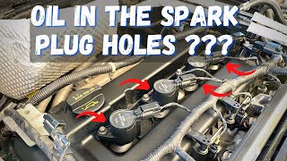 How to Replace Valve Cover Gaskets on a 2010  2014 Ford Transit Connect or Ford Focus [upl. by Ferrick]