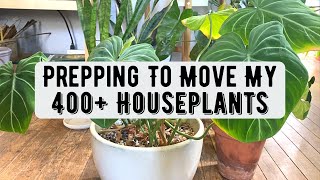 Prepping To Move My Houseplants Consolidating amp Underplanting [upl. by Aikyn]