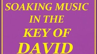 quotSoaking Music In The Key Of Davidquot 444HZ [upl. by Ursi]