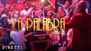 Orquesta La Palabra En Concierto En Vivo [upl. by Etireugram]