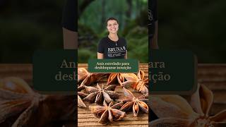 🌿Use Anis Estrelado para desbloquear sua Intuição 🌿 [upl. by Gaulin]