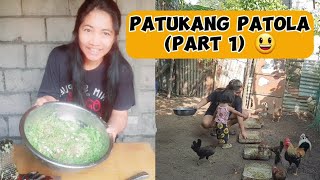 PAANO GUMAWA NG MATIPID PERO MASUSTANSIYANG PATUKA GAMIT ANG PATOLA PART 1 [upl. by Fougere]