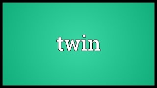 Twin Meaning [upl. by Sydel]