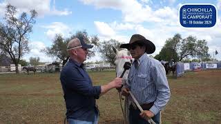 CC with Cameron Webster at Chinchilla Campdraft [upl. by Arriek]