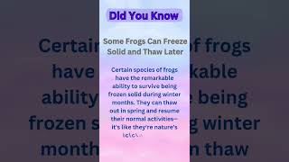 Freezing Frog frog frogs animalworld animal animals didyouknow interestingfacts science [upl. by Peonir995]