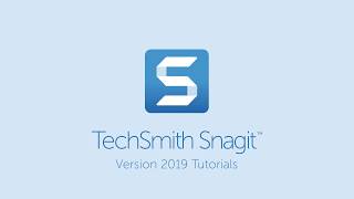 Snagit 2019 Quick Styles and Favorites [upl. by Medor]