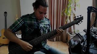 Materialista Bass Cover [upl. by Akehsat]